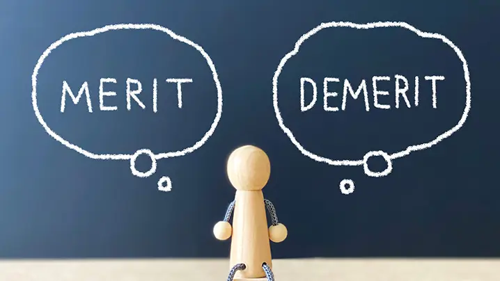 MERIT DEMERIT