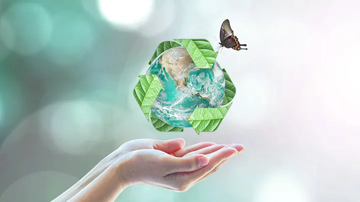 SDGs