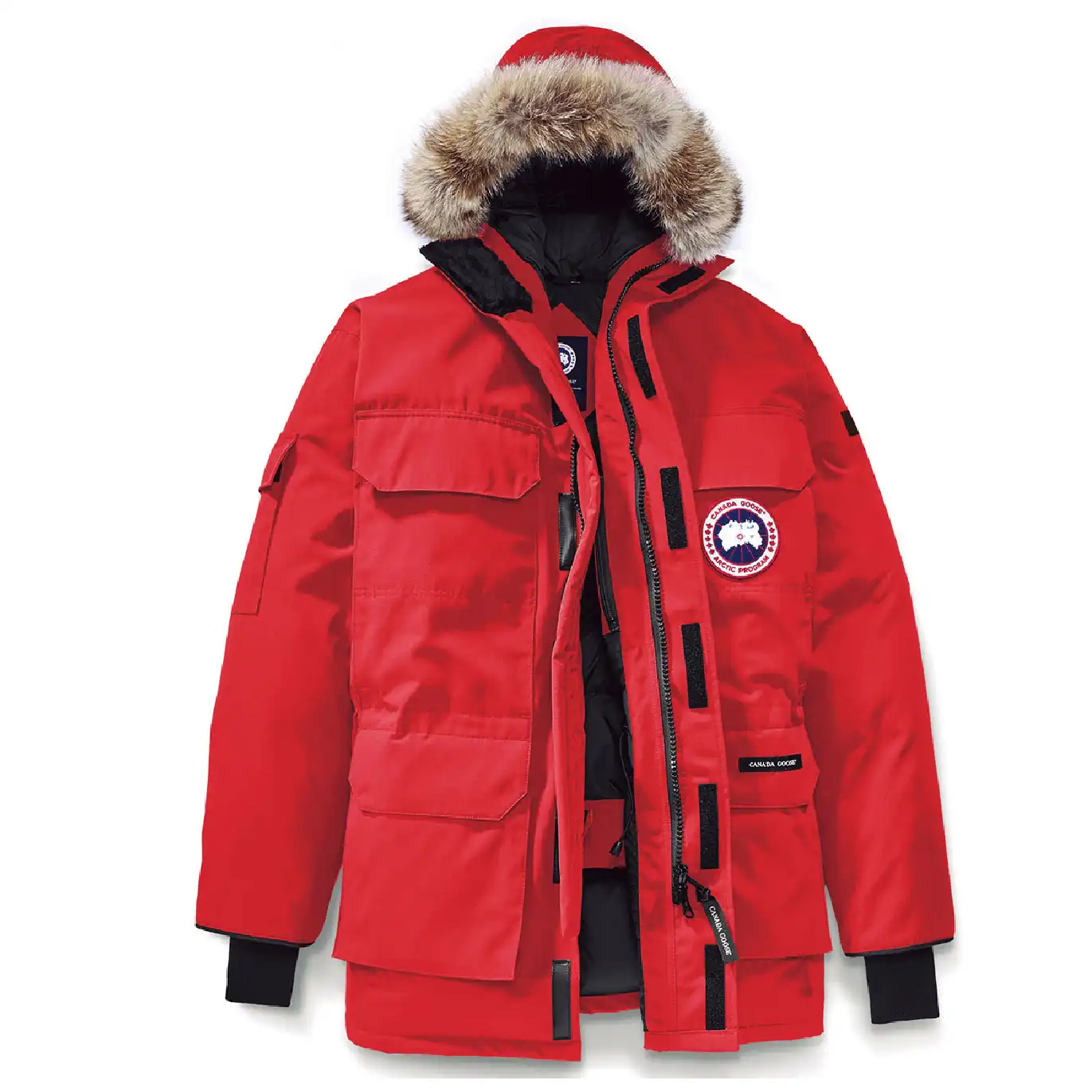 カナダグース ダウン