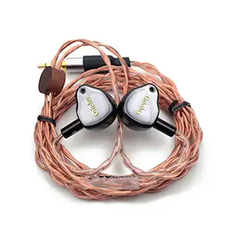 Oriolus
Oriolus Forsteni