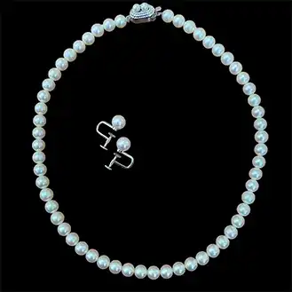 田崎真珠
パールネックレス イヤリング 2点セット Silver S刻印 パール幅:7.26mm 7.92mm 総重量36.5ｇ