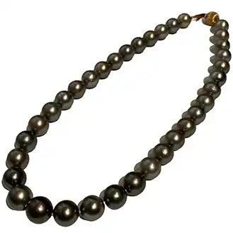 ネックレス ブラックパール（黒蝶真珠）