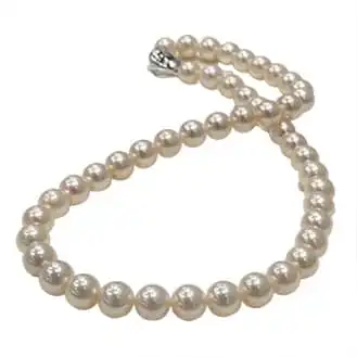 あこや真珠ネックレス
花珠鑑別付 あこや真珠ネックレス8.0-8.5mm