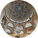 セロリ1453 profile picture