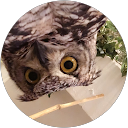 I Lucas profile picture