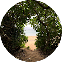 Naomi profile picture