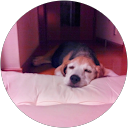 susumu sakai profile picture