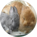 ら。 profile picture