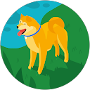 本橋 profile picture