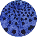 木下千夏 profile picture