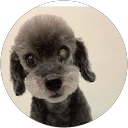 イシカワクミコ profile picture