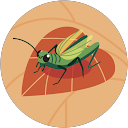 やまちゃん。 profile picture