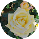 京阪典子 profile picture