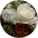 chiffon cake profile picture