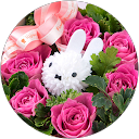 いけこ profile picture