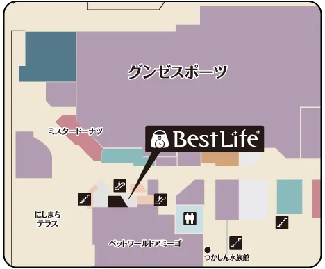 買取専門店 ベストライフ 尼崎つかしん店 フロアマップ